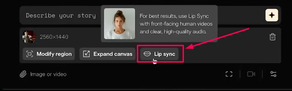 Pika Art Lip Sync Feature