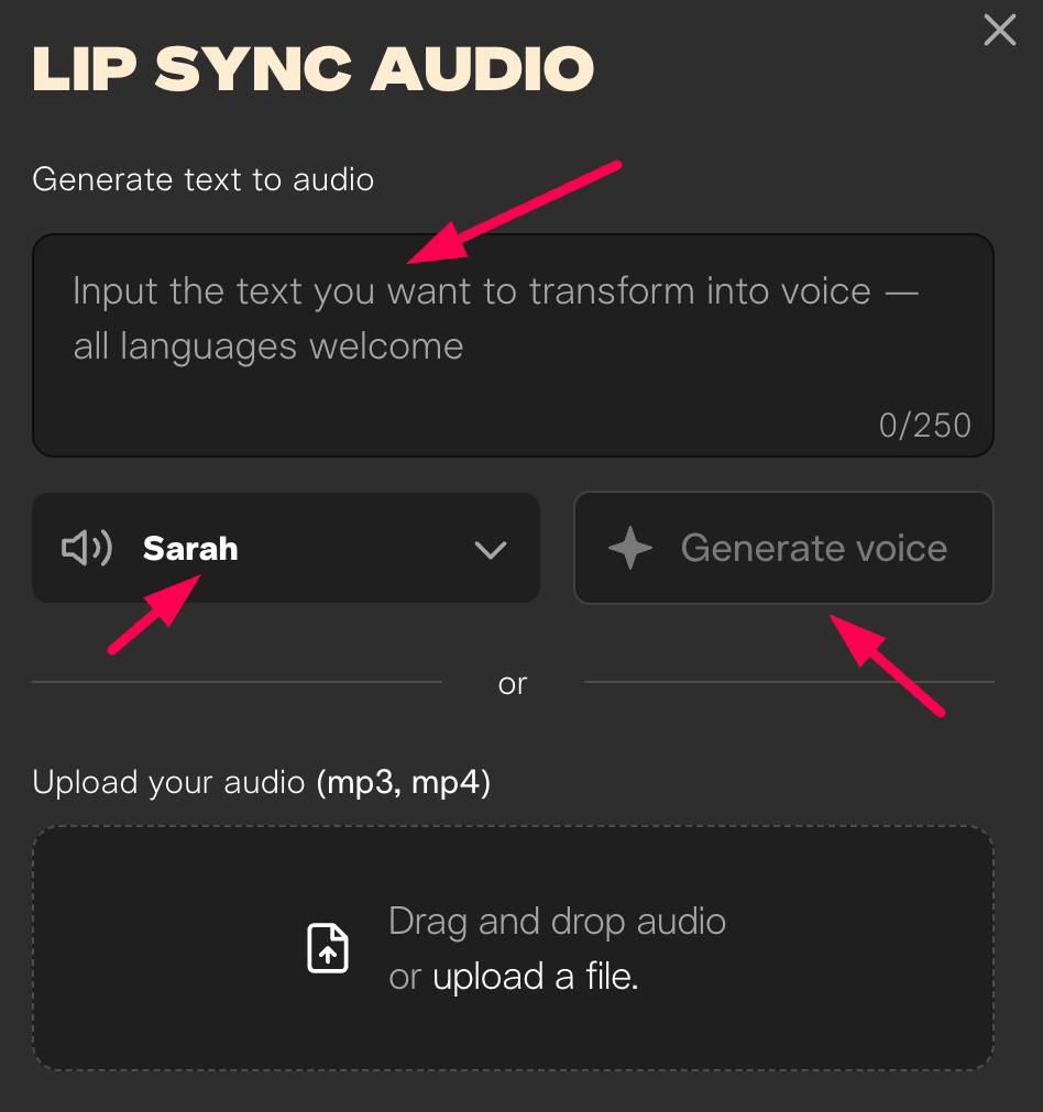 Pika Art Lip Sync Settings